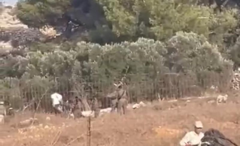 مستوطنون يهاجمون المزارعين في بيت اكسا والاحتلال يعتقل مواطنًا