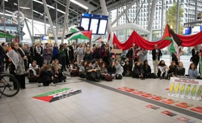 اعتصامات في مدن هولندية تضامنًا مع فلسطين