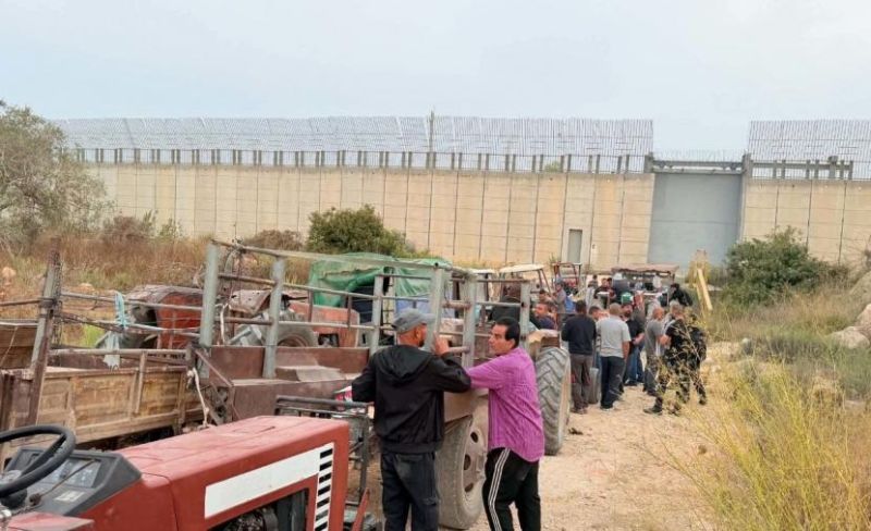 الاحتلال يمنع مئات المزارعين شمال طولكرم من الوصول لأراضيهم لقطف الزيتون