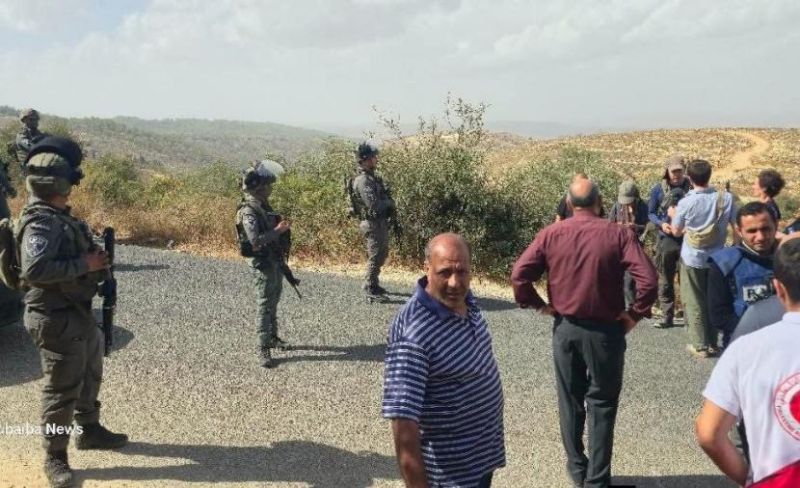 الاحتلال يمنع المواطنين من قطف الزيتون في بيت عنان بالقدس