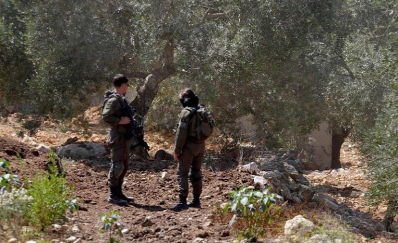 خبراء أمميون يطالبون بحماية المزارعين الفلسطينيين وضمان وصولهم إلى أراضيهم