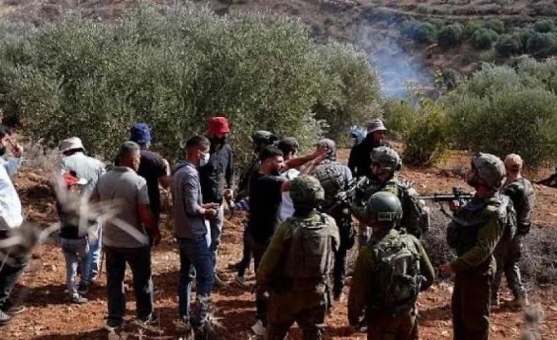 هيئة: 7 اعتداءات للاحتلال والمستوطنين على المزارعين بالضفة