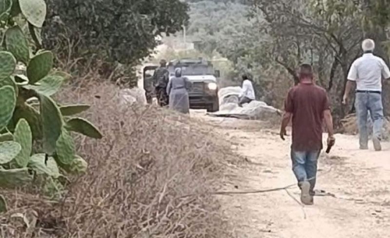 الاحتلال يمنع المواطنين من قطف الزيتون جنوب جنين