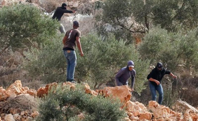 الاحتلال يعتقل متضامنين ومواطنين عقب اعتداء مستوطنين على مسافر يطا