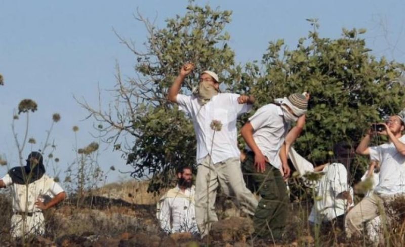 إصابة طفلين في اعتداء لمستوطنين جنوب نابلس