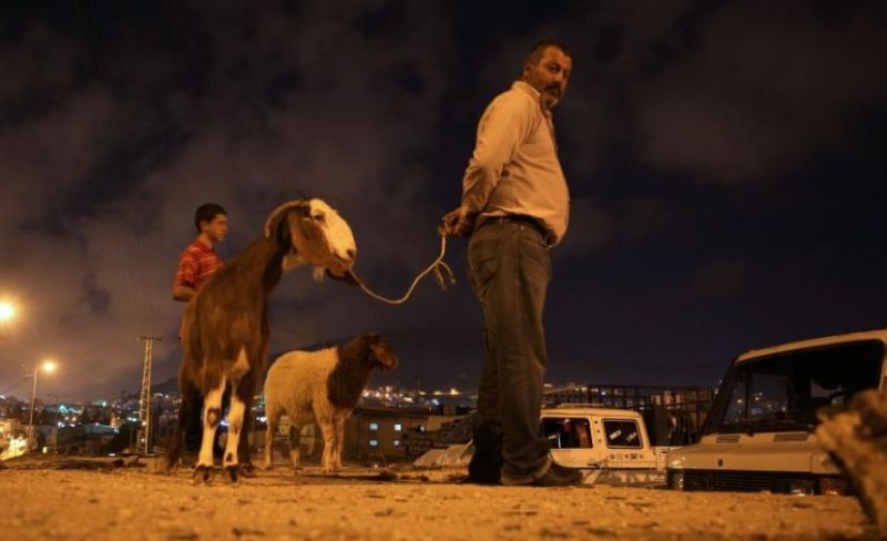 للعام الـ 3 تواليا.. مشهد الأضاحي يغيب عن غزة