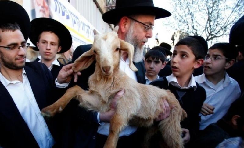 محافظة القدس: 8 محاولات لإدخال القرابين إلى "الأقصى"