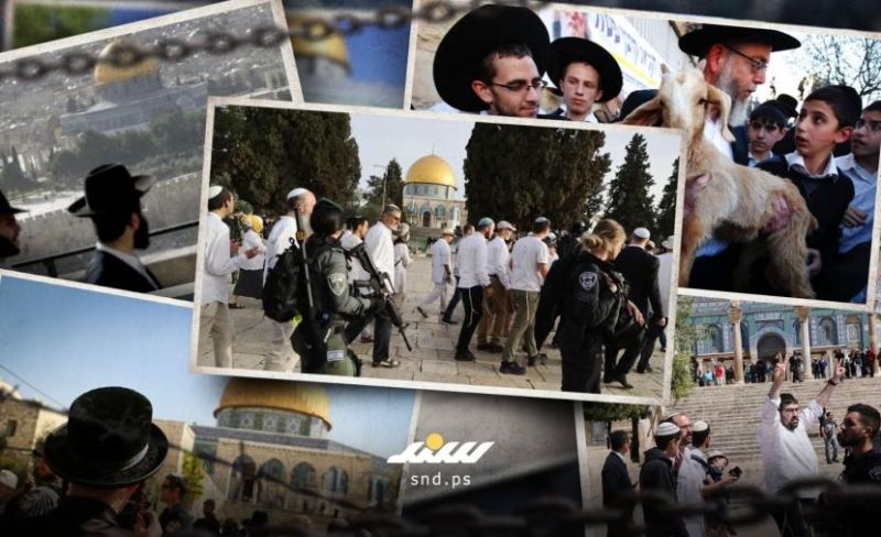 الاحتلال يصعّد لفرض واقع جديد في الأقصى خلال موسم "الأعياد"