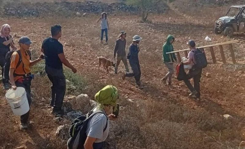 مستوطنون يعتدون على مزارع غرب سلفيت