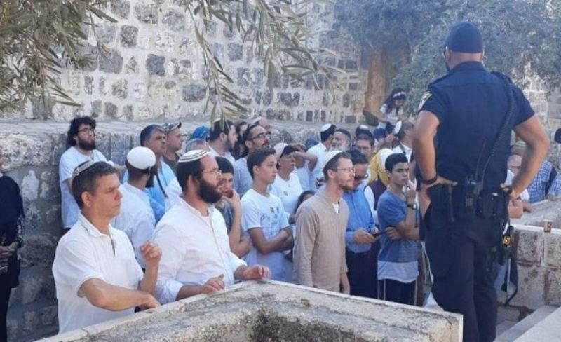 141 مستوطنا يقتحمون باحات المسجد الأقصى