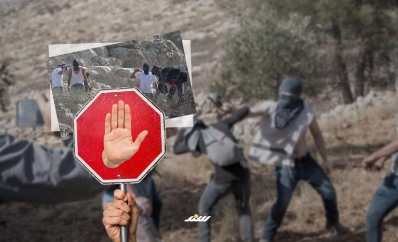 دعوات لـ "نفض الغبار" عن اللجان الشعبية وتعزيز حماية القرى الفلسطينية