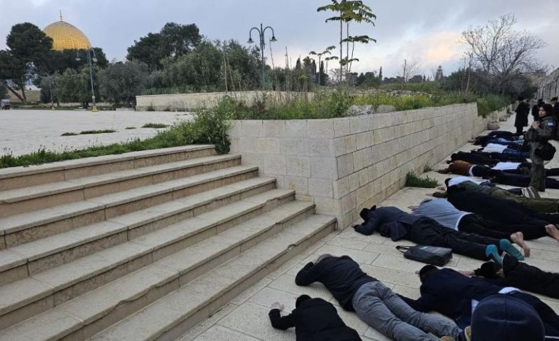 170 مستوطناً يُدنسون باحات المسجد الأقصى