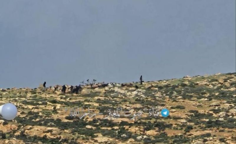 مستوطنون يسرقون قطيعاً من الأغنام قرب رام الله