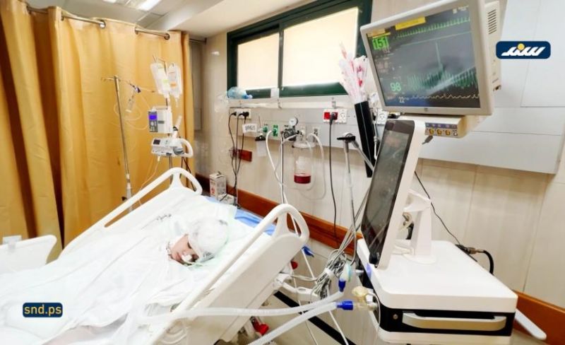 حلا درويش عروس غزة التي سُرقت من الفرح إلى حافة الموت