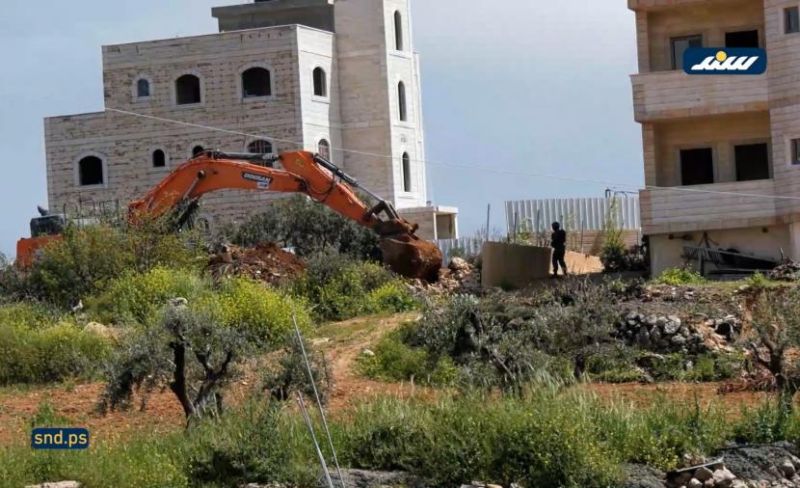 اقتلاع الزيتون.. حرب على الاقتصاد والهوية الفلسطينية