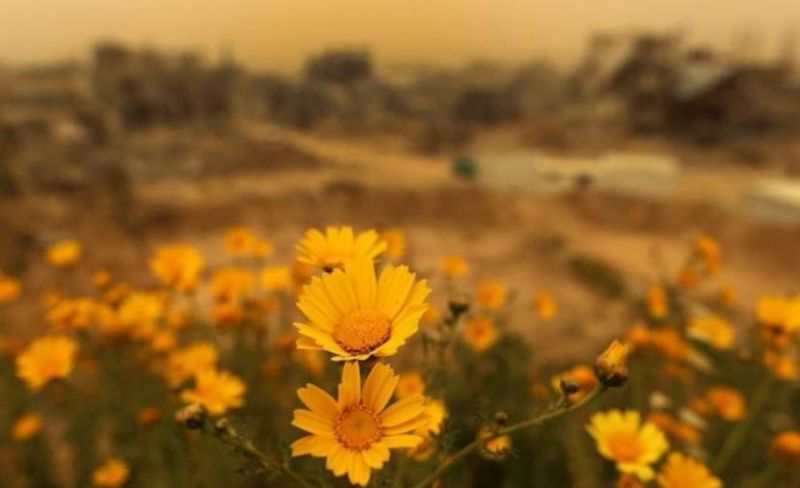 طالع أخبار طقس فلسطين خلال الأيام المقبلة