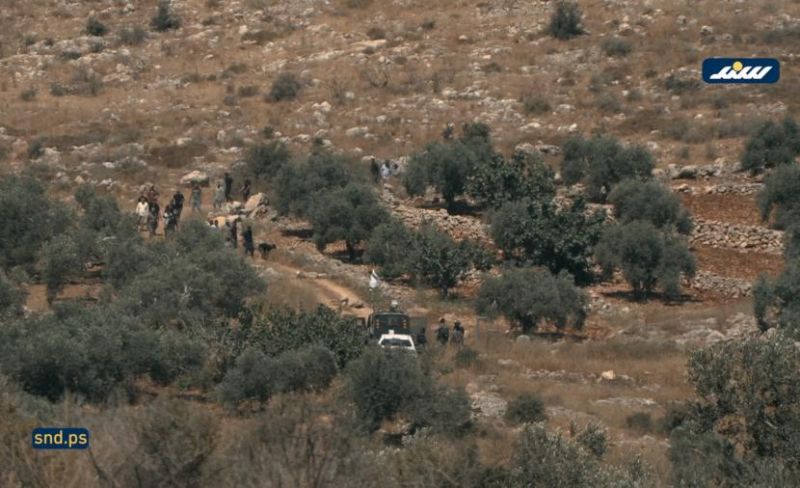 مستوطنون يحاولون الاستيلاء على أراضي المواطنين برام الله