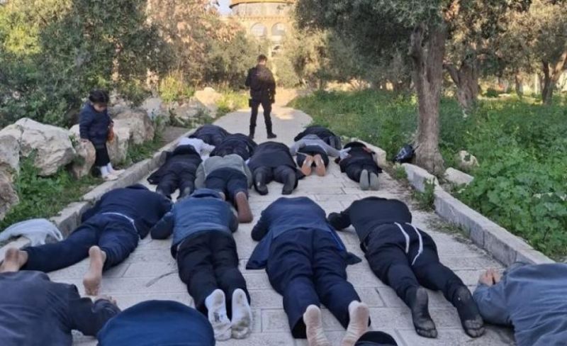 1552 مستوطناً يقتحمون الأقصى في الأسبوع الأول من يونيو
