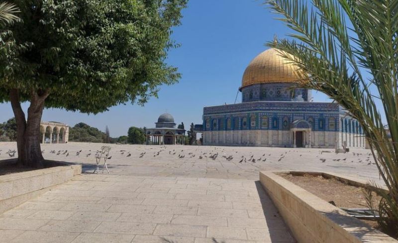 المحافظة: قرار "اليونسكو" يستدعي حماية دولية للقدس