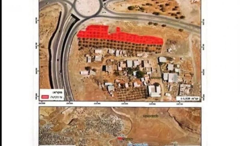 الاحتلال يخطر بإزالة أشجار والاستيلاء على أراض بالقدس