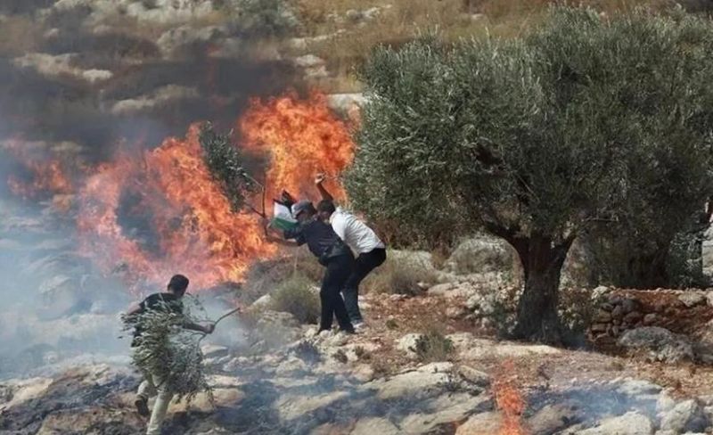 الأمم المتحدة: الهجوم على الزيتون أداة تهجير
