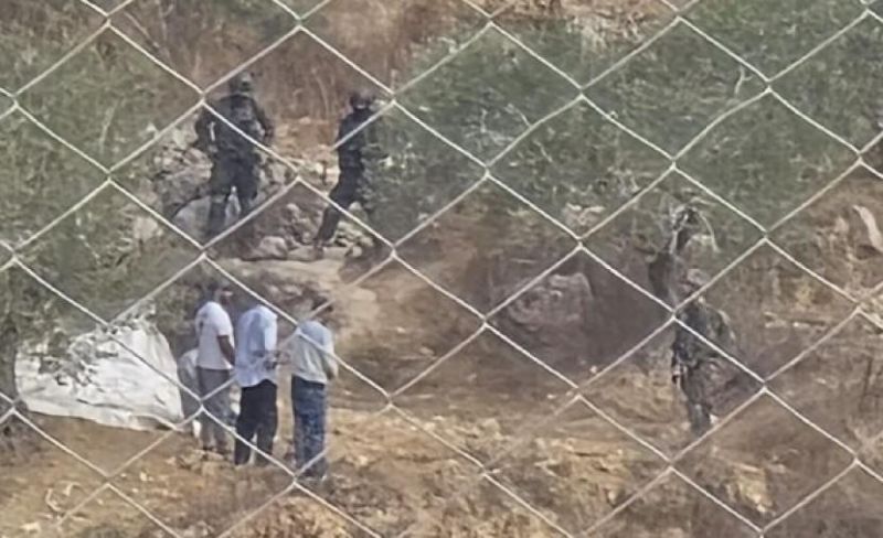 الاحتلال يحتجز قاطفي زيتون ويعتدي عليهم جنوب نابلس