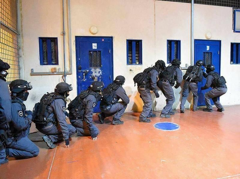 7 عمليات قمع بحق الأسيرات في سجن الدامون خلال 21 يوما