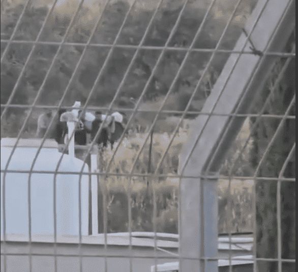 الأمم المتحدة: نبش إسرائيل أحد القبور في جنين مروع ويجسد نزع الإنسانية عن الفلسطينيين