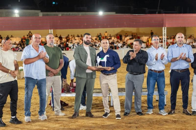 روابي تختتم بطولة الإنتاج المحلي بمشاركة أكثر من 300 خيل عربي أصيل وبمشاركة جماهيرية واسعة