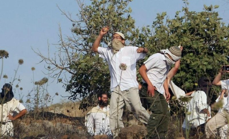 هيئة الجدار: 14 اعتداءً تستهدف مزارعي الزيتون بالضفة
