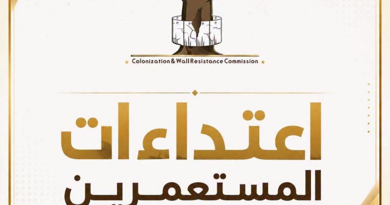 الحصيلة اليومية: 7 اعتداءات في 4 محافظات تستهدف موسم الزيتون والأراضي الزراعية
