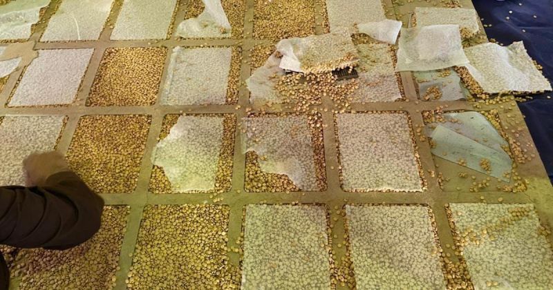 ضبط أكثر من 214 ألف حبة يشتبه بأنها مخدرة في بيت جالا