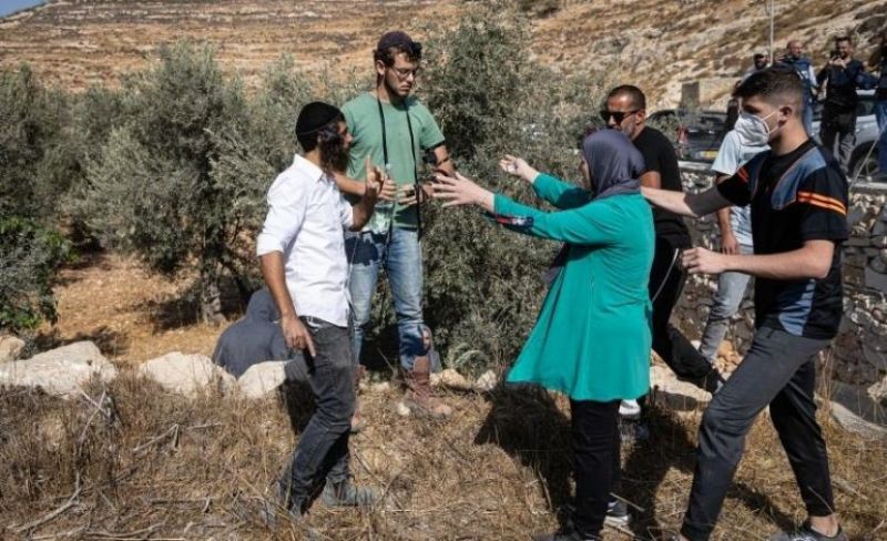 مستوطنون يحرقون ويقطعون عشرات أشجار الزيتون في برقا شرق رام الله